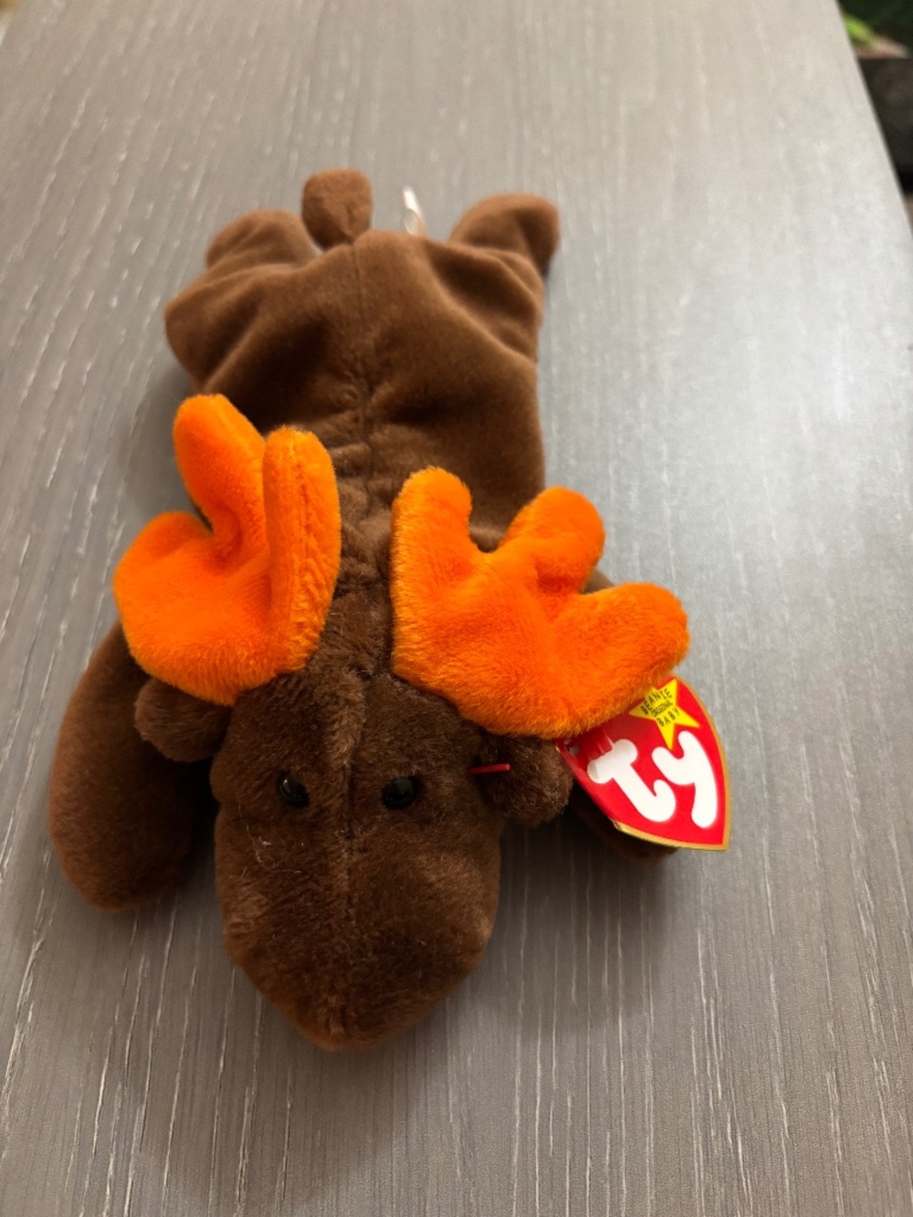 Mint condition, chocolate the moose, TY beanie baby